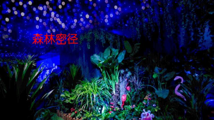 暗黑精灵的装扮